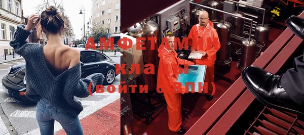 ПСИЛОЦИБИНОВЫЕ ГРИБЫ Вязьма