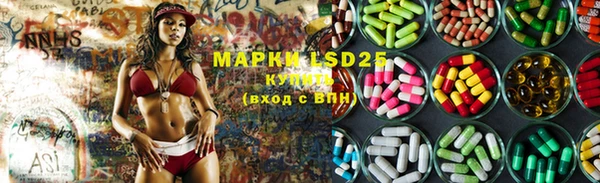ПСИЛОЦИБИНОВЫЕ ГРИБЫ Вязьма