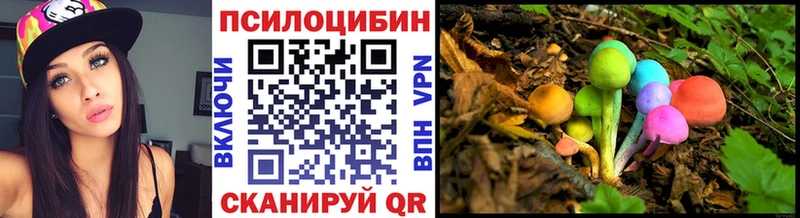 Псилоцибиновые грибы MAGIC MUSHROOMS  мориарти клад  Калачинск 